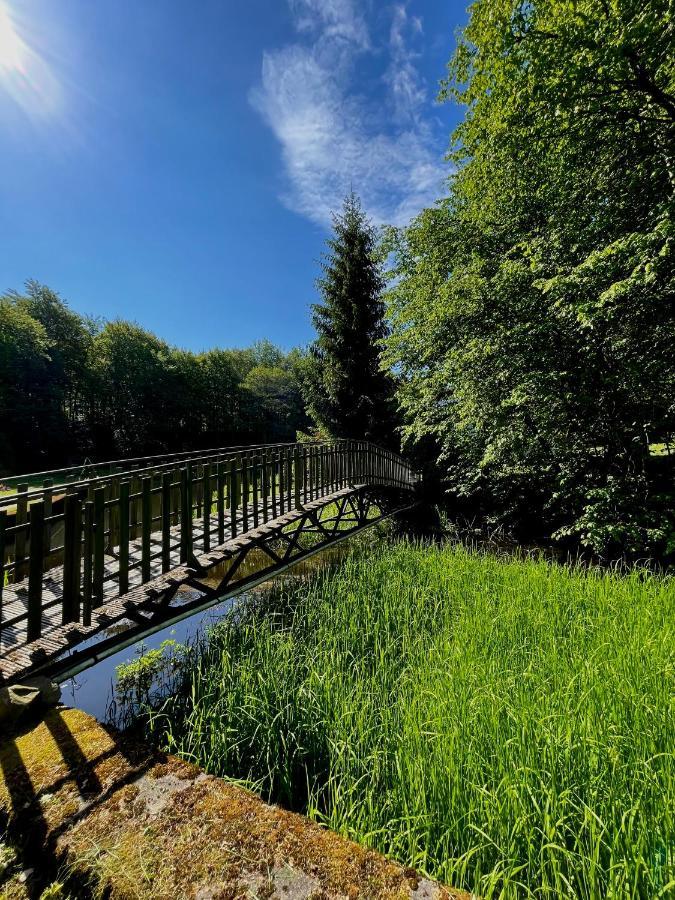 Domek W Glebi Lasu Nad Stawem Wierszyno Экстерьер фото